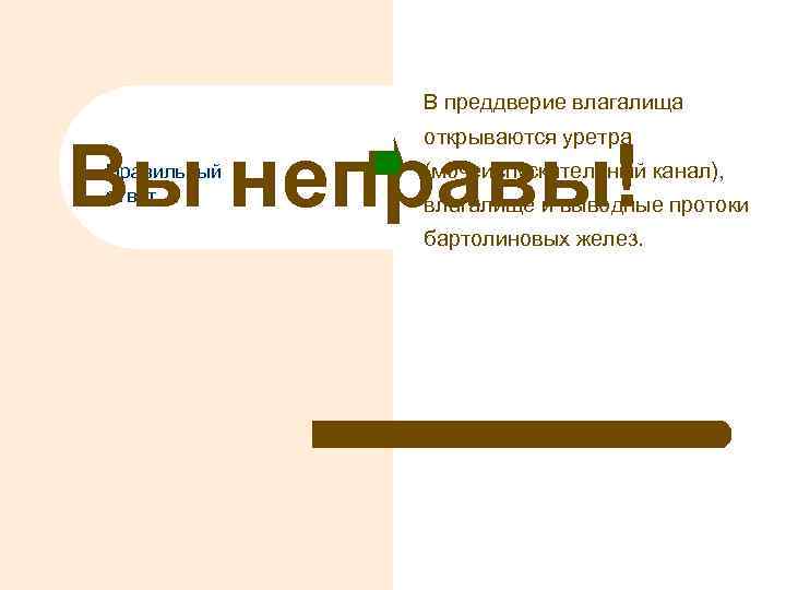 В преддверие влагалища открываются уретра Вы неправы! Правильный ответ (мочеиспускательный канал), влагалище и выводные
