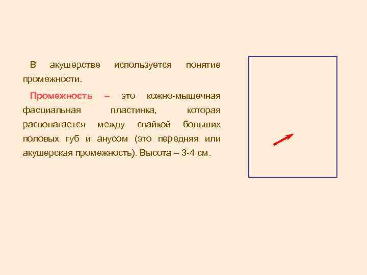 В акушерстве используется понятие промежности. Промежность фасциальная располагается – это кожно-мышечная пластинка, между спайкой
