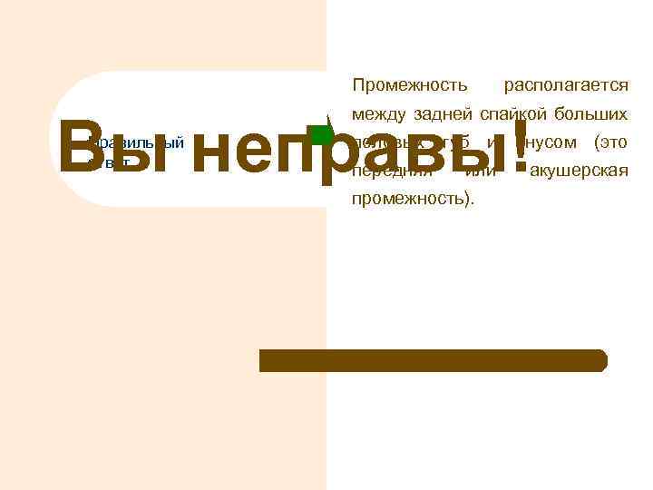 Промежность располагается между задней спайкой больших Вы неправы! Правильный ответ половых передняя губ и