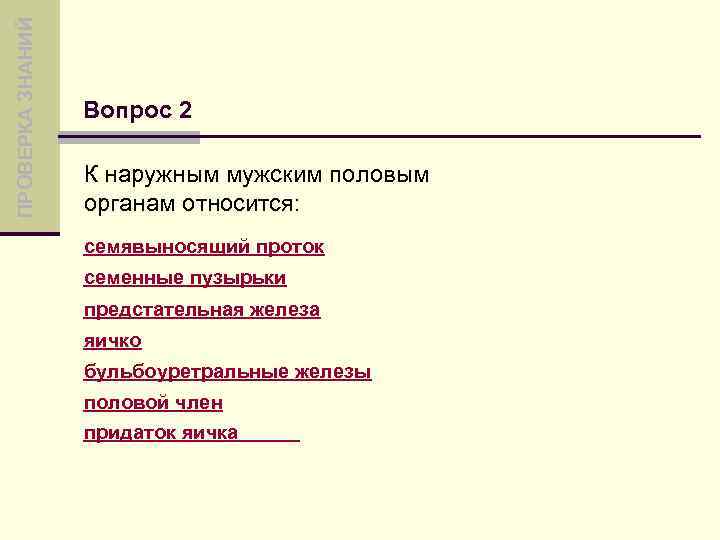 ПРОВЕРКА ЗНАНИЙ Вопрос 2 К наружным мужским половым органам относится: семявыносящий проток семенные пузырьки