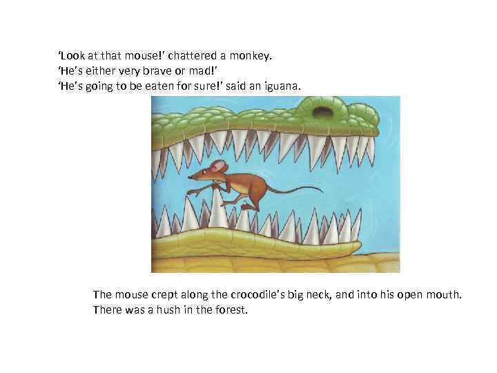 ‘Look at that mouse!’ chattered a monkey. ‘He’s either very brave or mad!’ ‘He’s