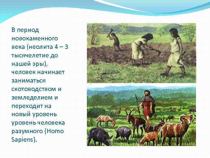 В период новокаменного века (неолита 4 – 3 тысячелетие до нашей эры), человек начинает