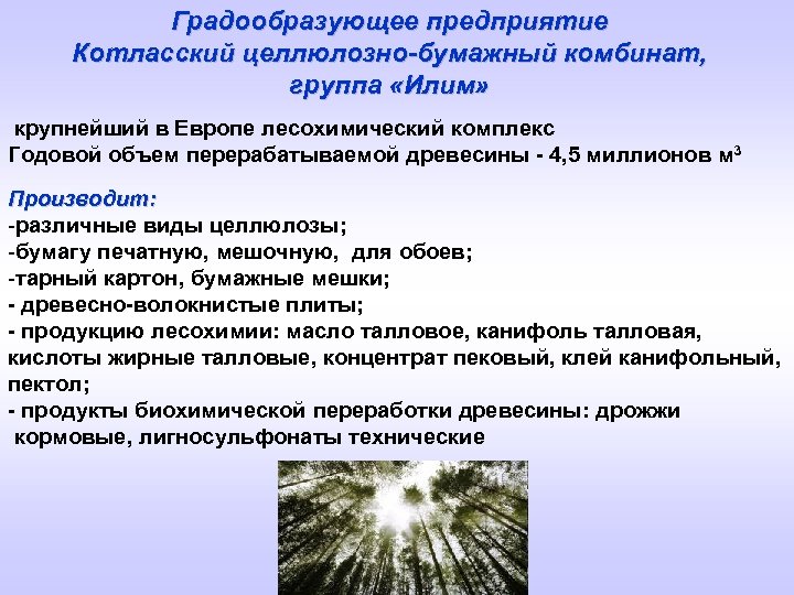 Градообразующее предприятие Котласский целлюлозно-бумажный комбинат, группа «Илим» крупнейший в Европе лесохимический комплекс Годовой объем