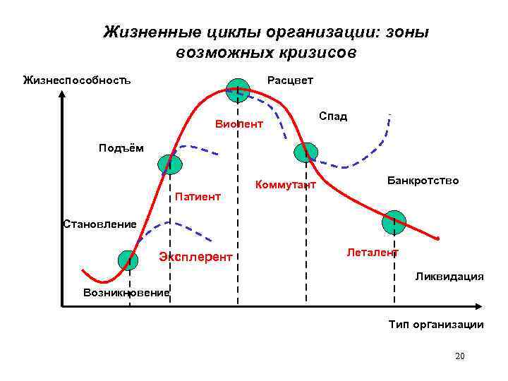 Жизненные циклы организации: зоны возможных кризисов Жизнеспособность Расцвет Виолент Спад Подъём Патиент Коммутант Банкротство