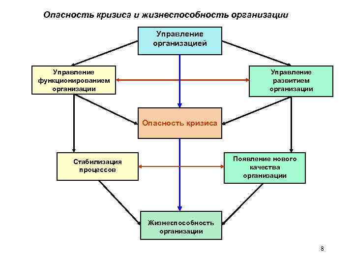 Опасность кризиса и жизнеспособность организации Управление организацией Управление функционированием организации Управление развитием организации Опасность