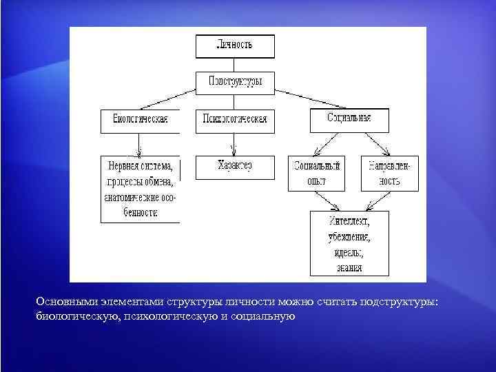 Основными элементами структуры личности можно считать подструктуры: биологическую, психологическую и социальную 