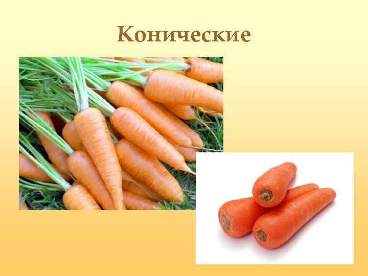 Конические 