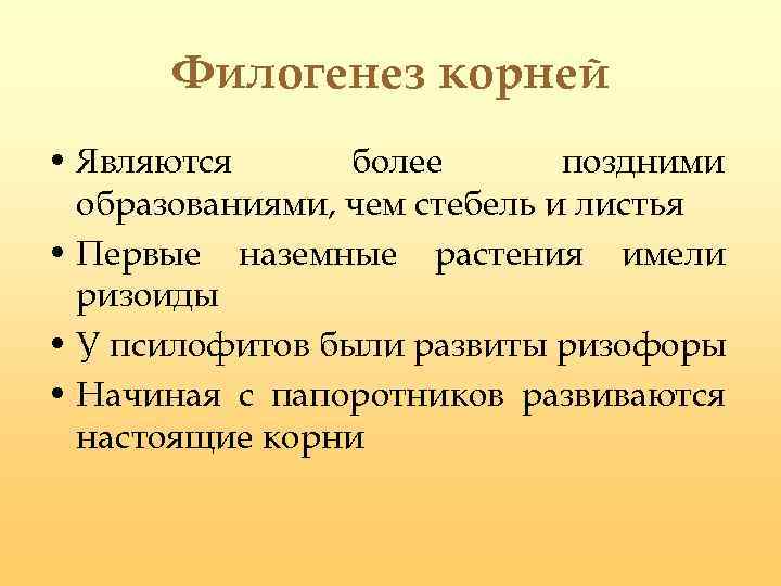 Филогенез корней • Являются более поздними образованиями, чем стебель и листья • Первые наземные