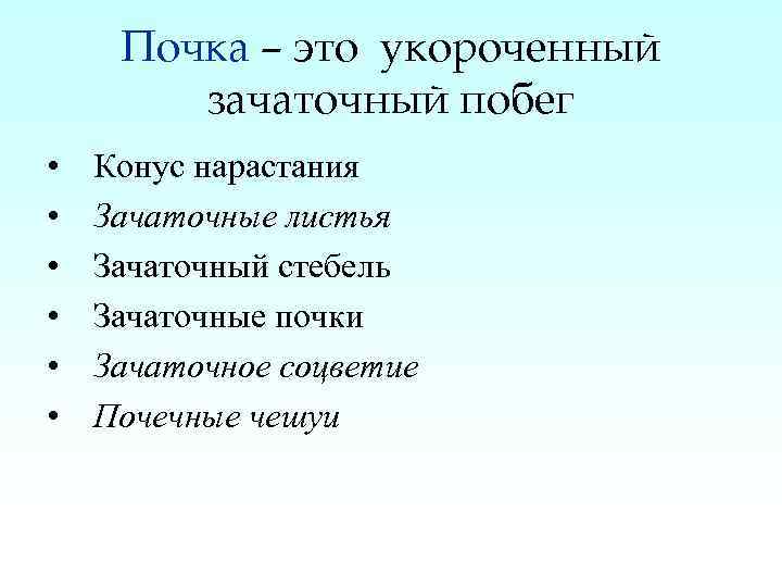 Почему семена называют зачаточными. Задача почек.