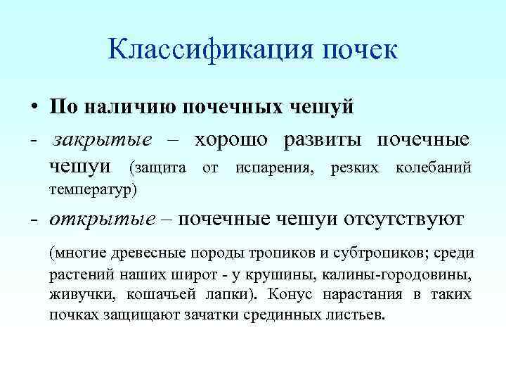 Классификация почек. Классификация почек растений. Классификация почек по составу. Классификация почек по наличию почечных чешуй.