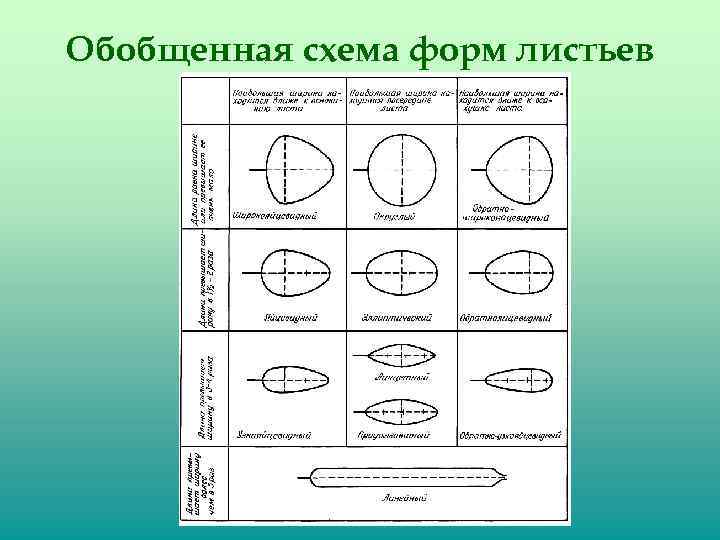 Форма схемы