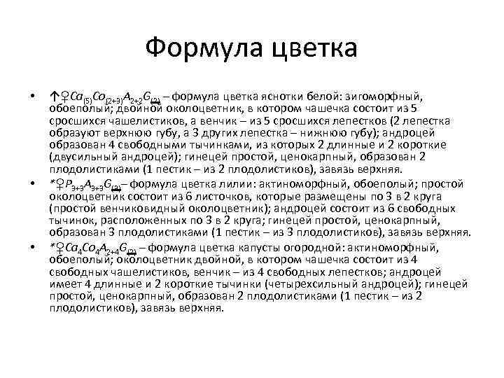 Формула цветка • • • ↑♀Са(5)Со(2+3)А 2+2 G(2) – формула цветка яснотки белой: зигоморфный,