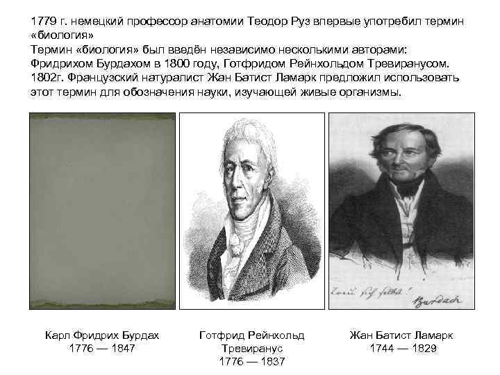 Тревиранус. Готфрид Рейнхольд Тревиранус(1776-1837.