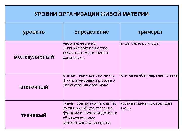 Установите соответствие уровень организации живых организмов характеристика. Характеристика уровней организации живого таблица. Уровни организации живой материи тканевый уровень. Уровни организации живого (молекулярный, клеточный, тканевой).. Уровни организации живого биоценотический.