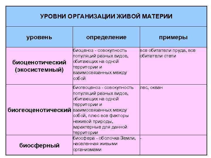 Компоненты уровней