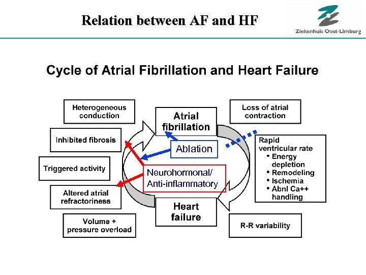 Relation between AF and HF Ablation Neurohormonal/ Anti-inflammatory 