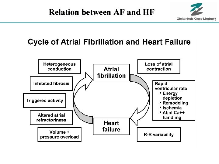Relation between AF and HF 