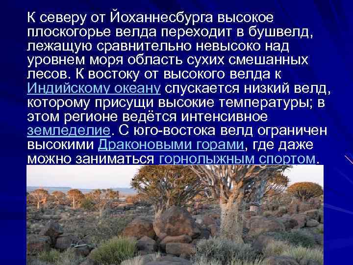 К северу от Йоханнесбурга высокое плоскогорье велда переходит в бушвелд, лежащую сравнительно невысоко над