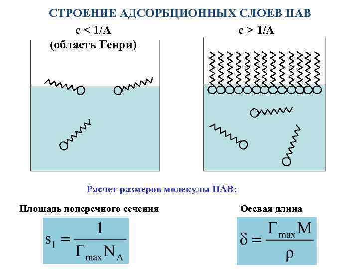 СТРОЕНИЕ АДСОРБЦИОННЫХ СЛОЕВ ПАВ с > 1/A с < 1/A (область Генри) Расчет размеров