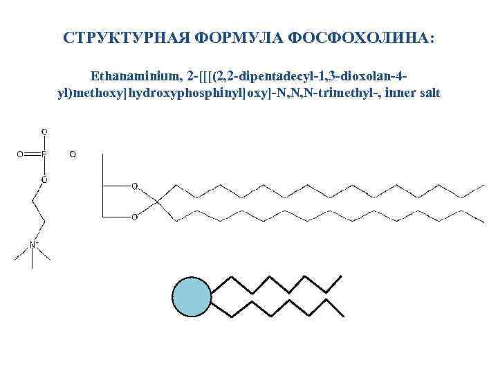 СТРУКТУРНАЯ ФОРМУЛА ФОСФОХОЛИНА: Ethanaminium, 2 -[[[(2, 2 -dipentadecyl-1, 3 -dioxolan-4 yl)methoxy]hydroxyphosphinyl]oxy]-N, N, N-trimethyl-, inner