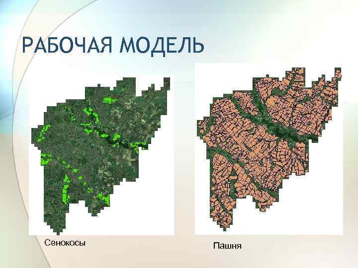 РАБОЧАЯ МОДЕЛЬ Сенокосы Пашня 