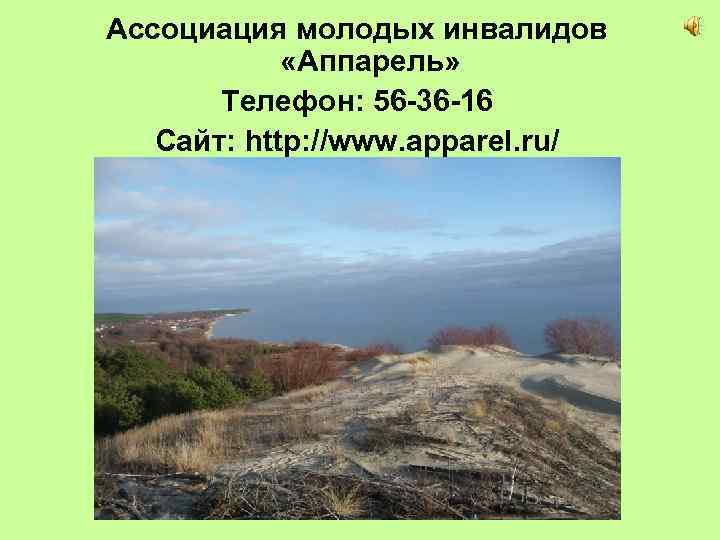 Ассоциация молодых инвалидов «Аппарель» Телефон: 56 -36 -16 Сайт: http: //www. apparel. ru/ 