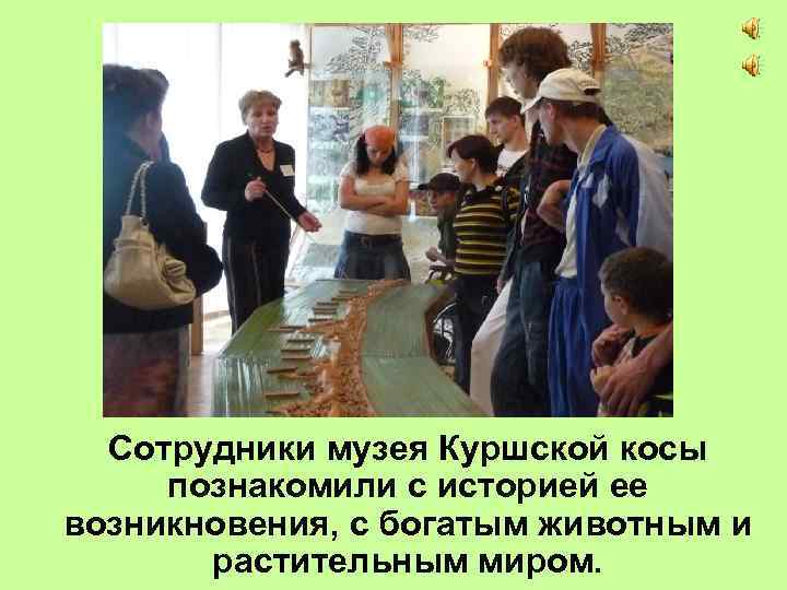 Сотрудники музея Куршской косы познакомили с историей ее возникновения, с богатым животным и растительным