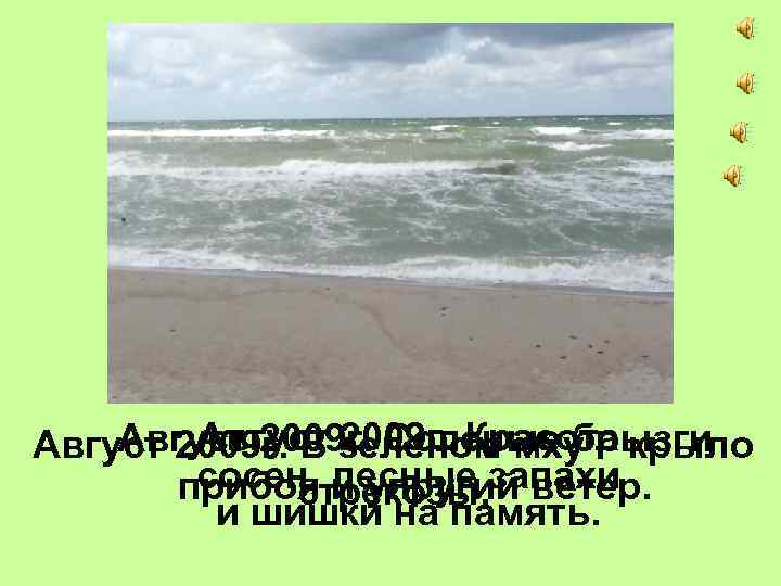 Август 2009 г. Красота Август 2009 г. Соленые брызги Август 2009 г. В зеленом