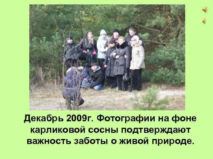 Декабрь 2009 г. Фотографии на фоне карликовой сосны подтверждают важность заботы о живой природе.
