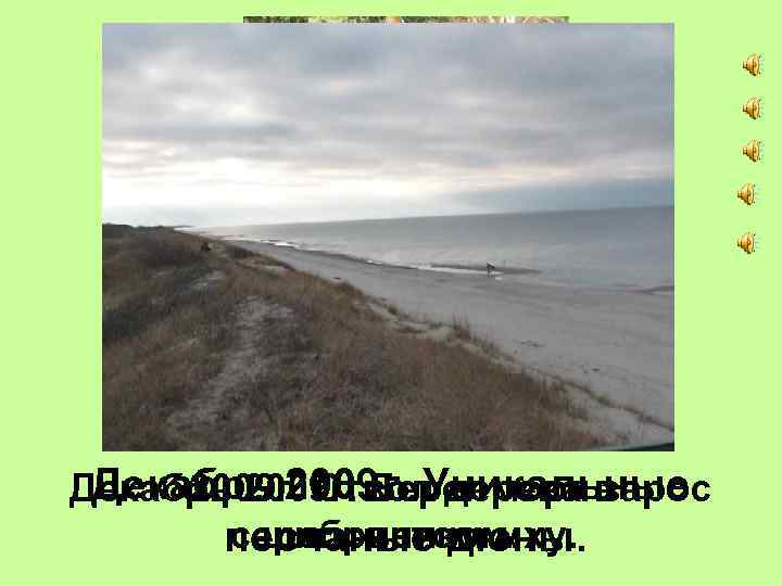 Декабрь 2009 г. Уникальные Декабрь 2009 г. Берег моря в 2009 г. Ствол дерева