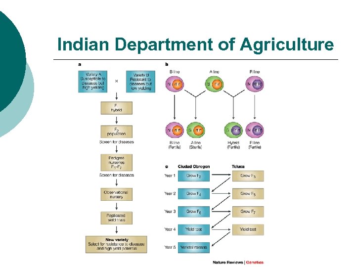 Indian Department of Agriculture 