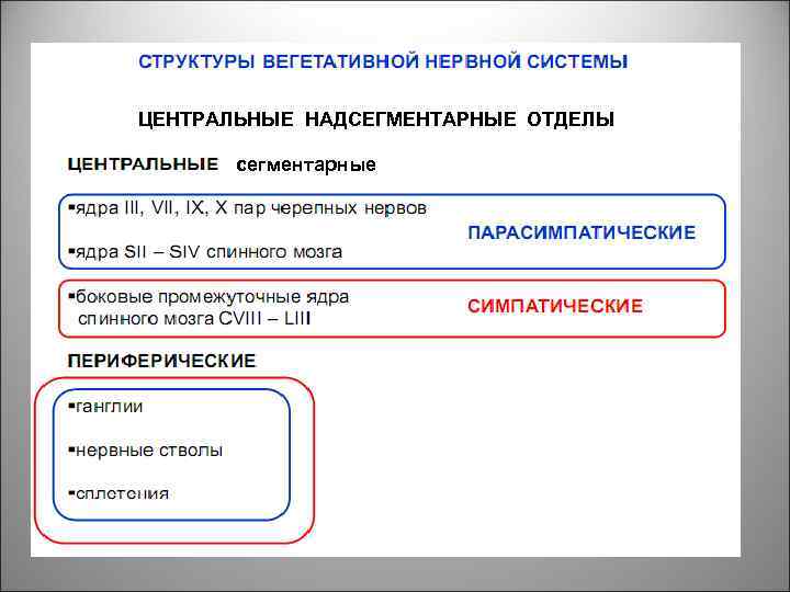 ЦЕНТРАЛЬНЫЕ НАДСЕГМЕНТАРНЫЕ ОТДЕЛЫ сегментарные 10 