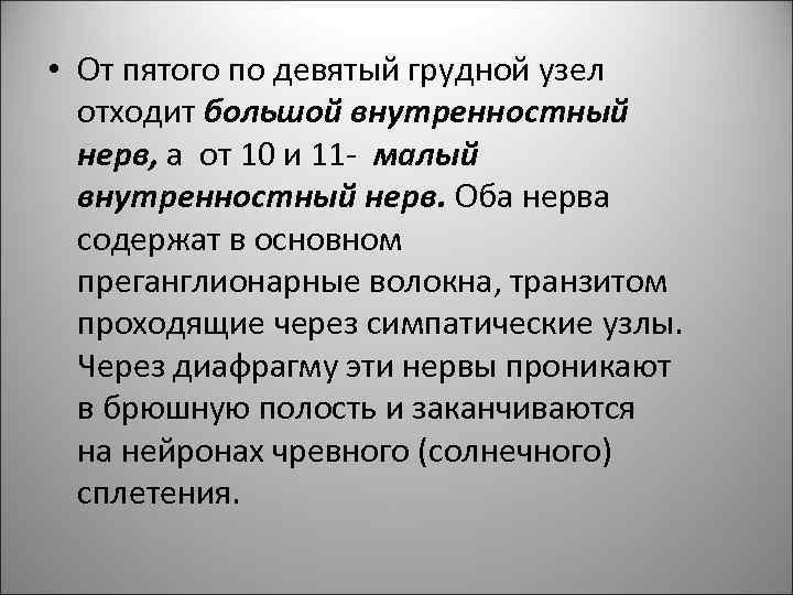  • От пятого по девятый грудной узел отходит большой внутренностный нерв, а от