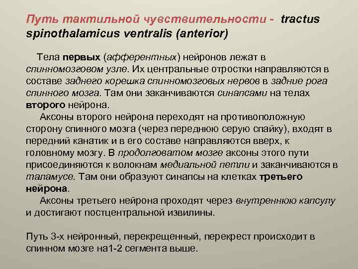 Путь проведения. Путь тактильной чувствительности. Проводящие пути тактильной чувствительности. Путь тактильнйо чувтсв. Путь осязательной чувствительности.