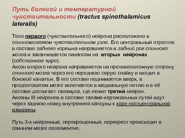 Путь болевой и температурной чувствительности (tractus spinothalamicus lateralis) Тело первого (чувствительного) нейрона расположено в