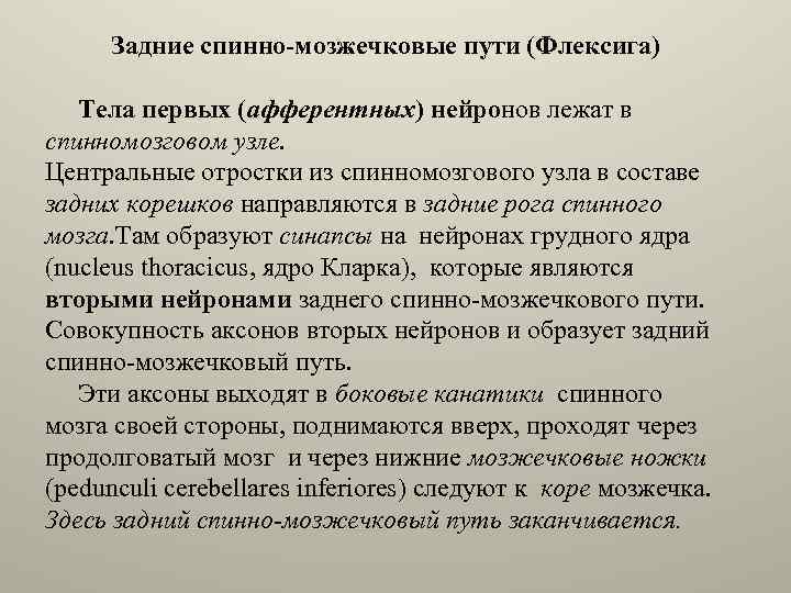 Задние спинно-мозжечковые пути (Флексига) Тела первых (афферентных) нейронов лежат в спинномозговом узле. Центральные отростки