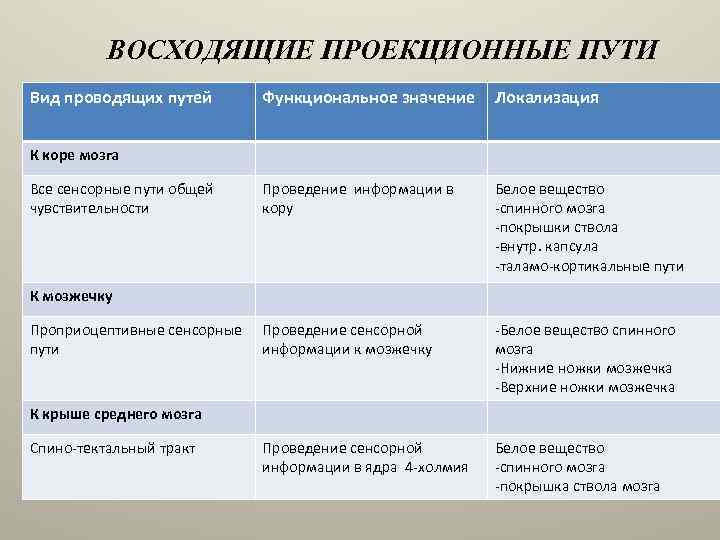 Схемы восходящих и нисходящих проекционных путей