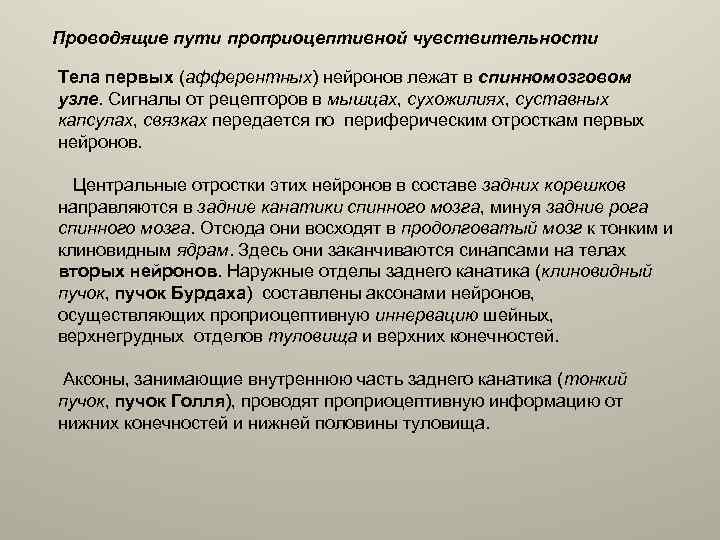 Проводящие пути проприоцептивной чувствительности Тела первых (афферентных) нейронов лежат в спинномозговом узле. Сигналы от