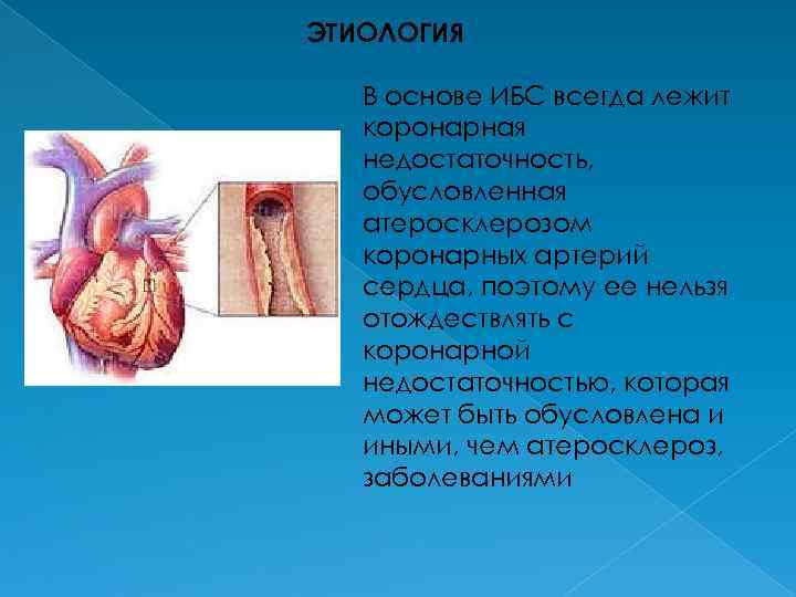 Курсовая Работа На Тему Атеросклероз