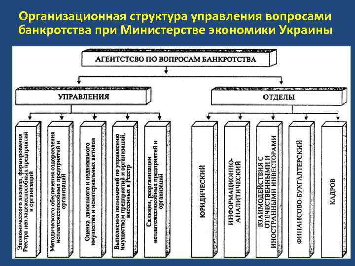 Организационная структура управления вопросами банкротства при Министерстве экономики Украины 