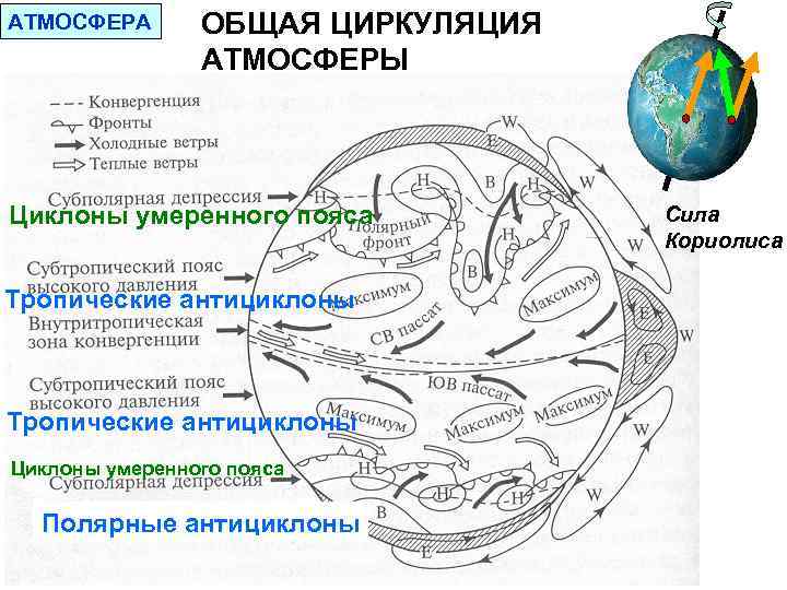 Общая циркуляция атмосферы 7 класс. Внутритропическая зона конвергенции. Зона конвергенции пассатов. Циклоническая циркуляция атмосферы. Сила Кориолиса и циклоны.