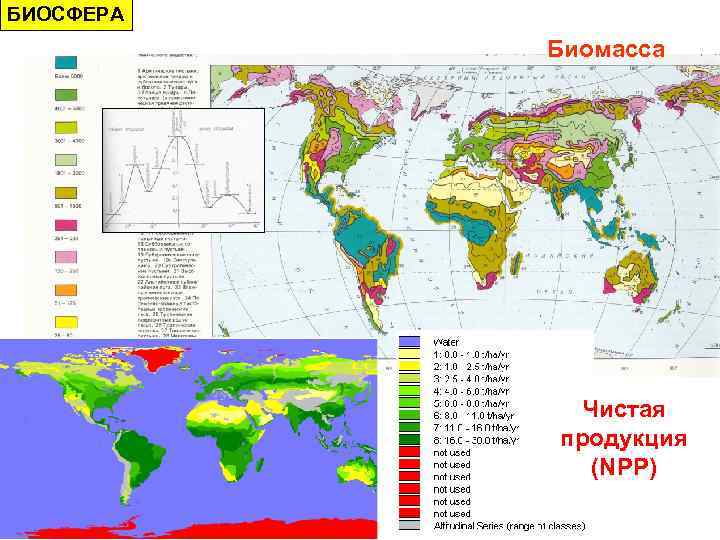 БИОСФЕРА Биомасса Чистая продукция (NPP) 