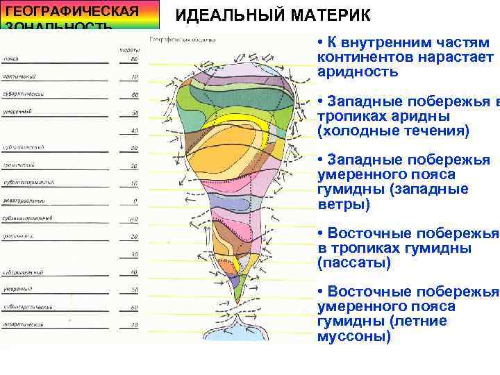 ГЕОГРАФИЧЕСКАЯ ЗОНАЛЬНОСТЬ ИДЕАЛЬНЫЙ МАТЕРИК • К внутренним частям континентов нарастает аридность • Западные побережья