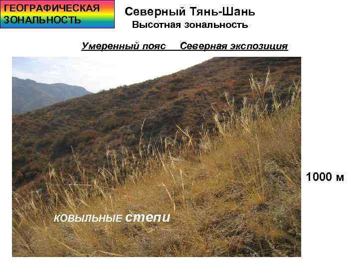 ГЕОГРАФИЧЕСКАЯ ЗОНАЛЬНОСТЬ Северный Тянь-Шань Высотная зональность Умеренный пояс Северная экспозиция 1000 м КОВЫЛЬНЫЕ степи