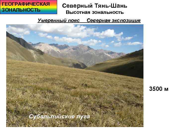 ГЕОГРАФИЧЕСКАЯ ЗОНАЛЬНОСТЬ Северный Тянь-Шань Высотная зональность Умеренный пояс Северная экспозиция 3500 м Субальпийские луга