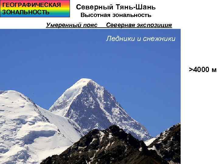 ГЕОГРАФИЧЕСКАЯ ЗОНАЛЬНОСТЬ Северный Тянь-Шань Высотная зональность Умеренный пояс Северная экспозиция Ледники и снежники >4000