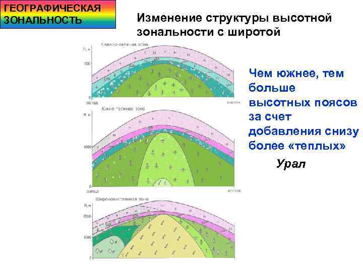ГЕОГРАФИЧЕСКАЯ ЗОНАЛЬНОСТЬ Изменение структуры высотной зональности с широтой Чем южнее, тем больше высотных поясов