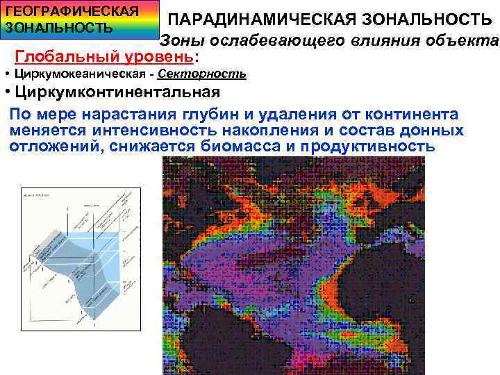 ГЕОГРАФИЧЕСКАЯ ЗОНАЛЬНОСТЬ ПАРАДИНАМИЧЕСКАЯ ЗОНАЛЬНОСТЬ Зоны ослабевающего влияния объекта Глобальный уровень: • Циркумокеаническая - Секторность