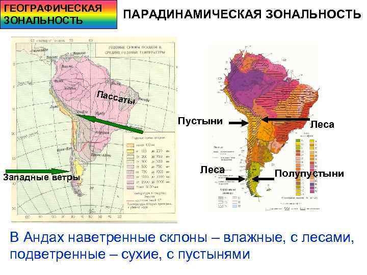 ГЕОГРАФИЧЕСКАЯ ЗОНАЛЬНОСТЬ ПАРАДИНАМИЧЕСКАЯ ЗОНАЛЬНОСТЬ Пасса ты Пустыни Западные ветры Леса Полупустыни В Андах наветренные