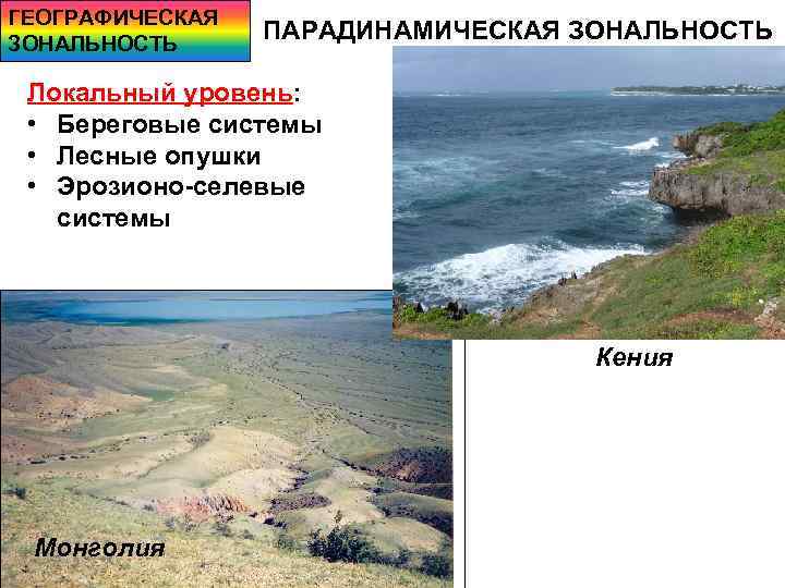 ГЕОГРАФИЧЕСКАЯ ЗОНАЛЬНОСТЬ ПАРАДИНАМИЧЕСКАЯ ЗОНАЛЬНОСТЬ Локальный уровень: • Береговые системы • Лесные опушки • Эрозионо-селевые